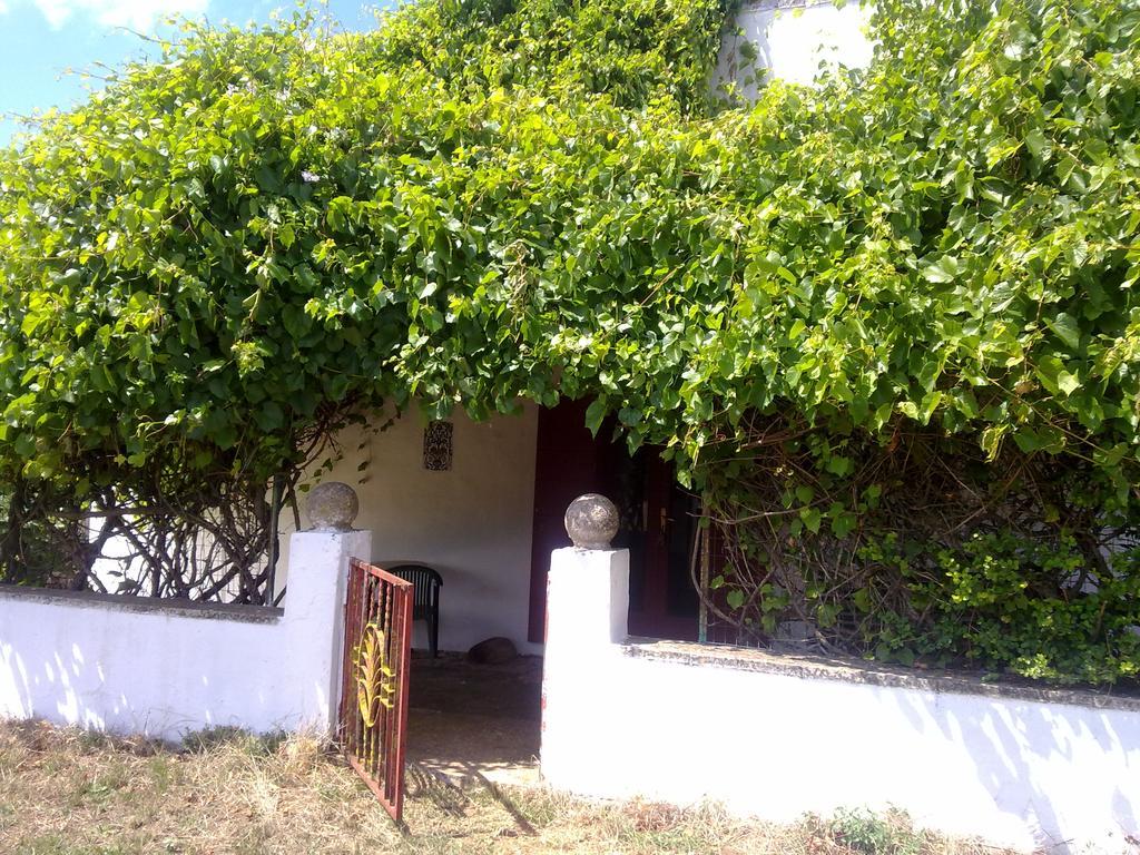 Masseria Murgia Albanese ノーチ エクステリア 写真