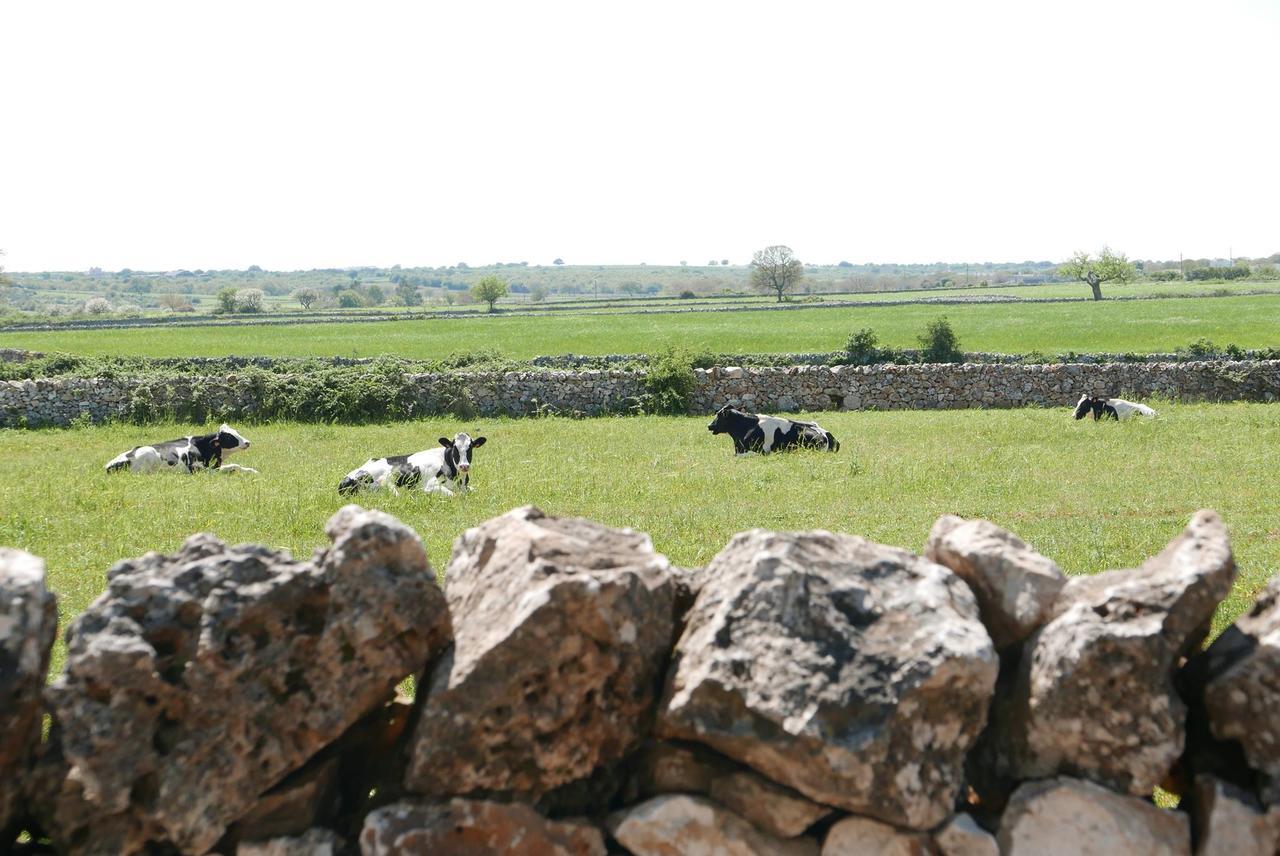 Masseria Murgia Albanese ノーチ エクステリア 写真