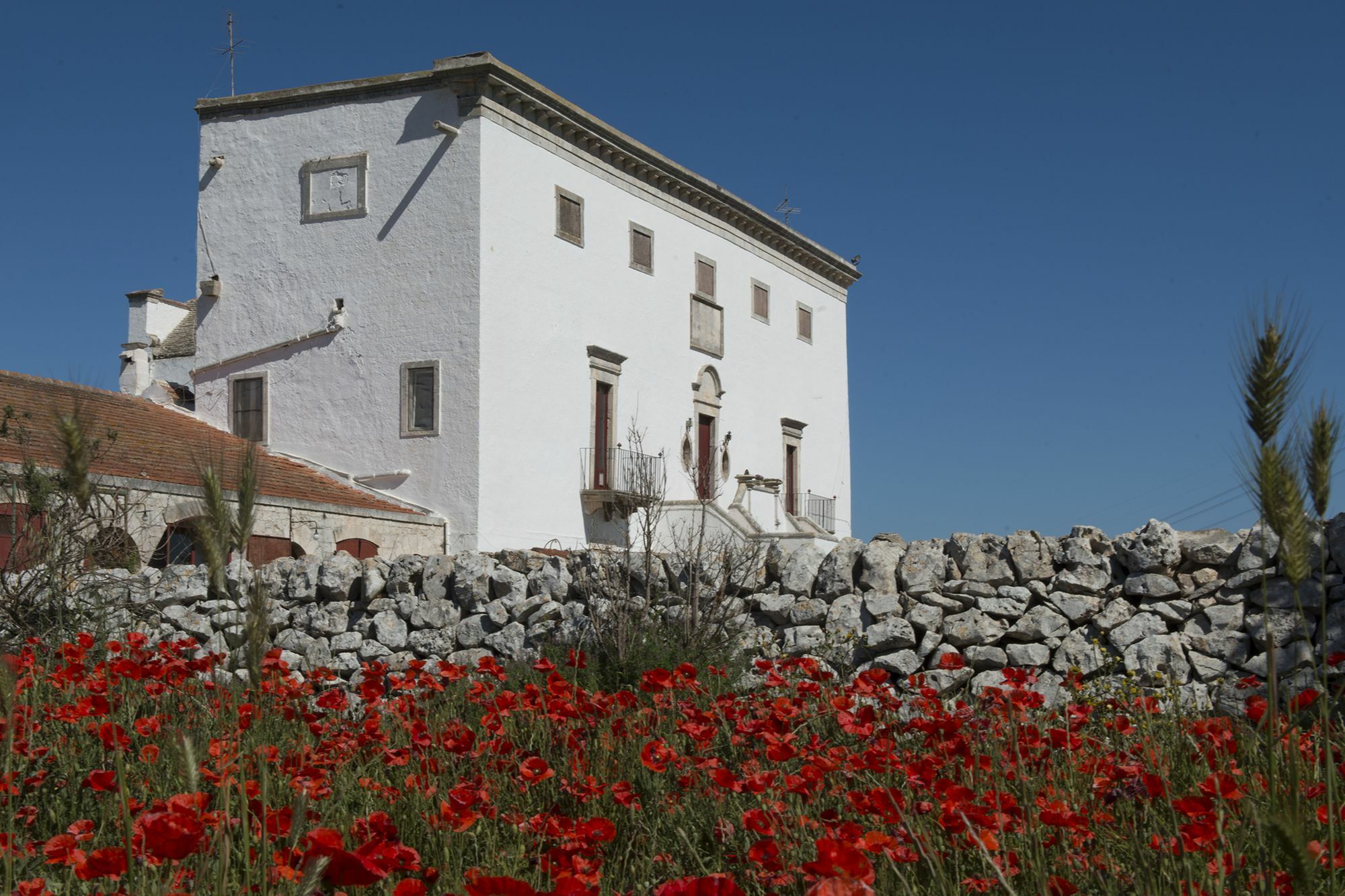 Masseria Murgia Albanese ノーチ エクステリア 写真